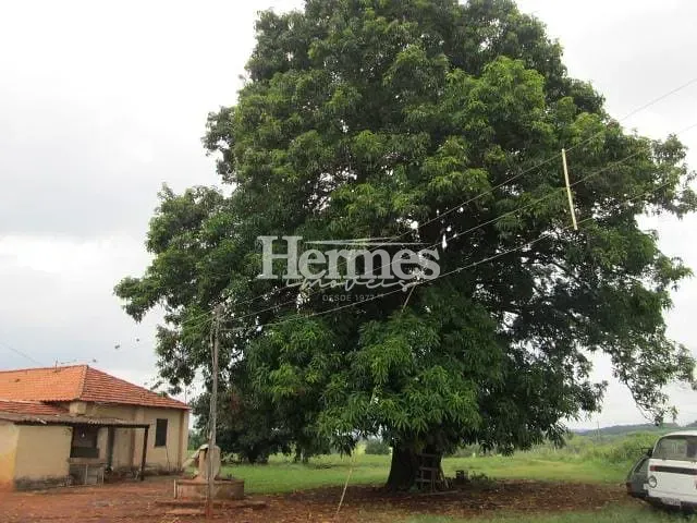 Terreno com 44362m² 2 quartos e 1 banheiro, à venda, no bairro Betel em Paulínia