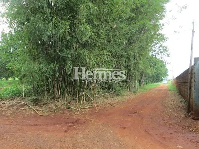 Terreno com 44362m² 2 quartos e 1 banheiro, à venda, no bairro Betel em Paulínia