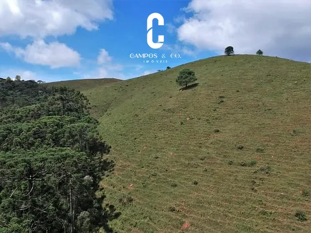 Terreno com 116000m², à venda, no bairro Descansópolis em Campos Do Jordão