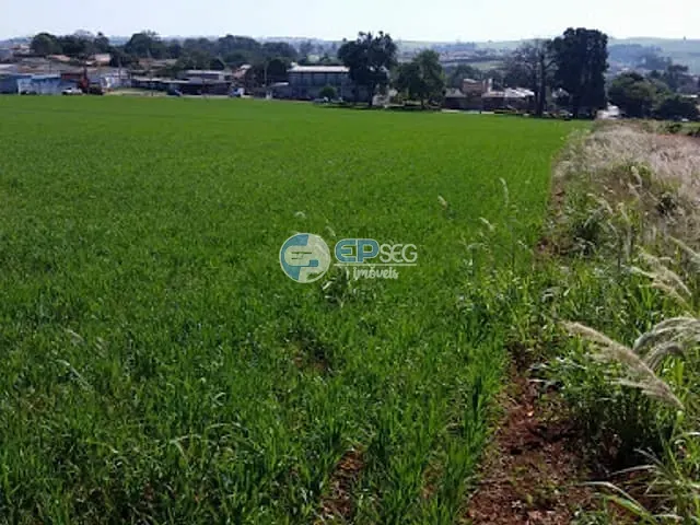 Terreno com 38084m², à venda, no bairro Ideal em Londrina