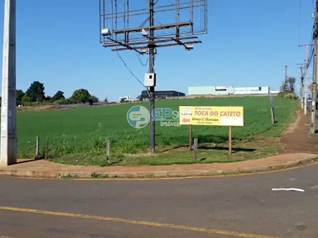 Terreno com 38084m², à venda, no bairro Ideal em Londrina