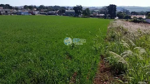 Terreno, 4 hectares - Foto 2