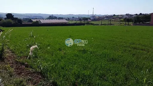 Terreno, 4 hectares - Foto 3