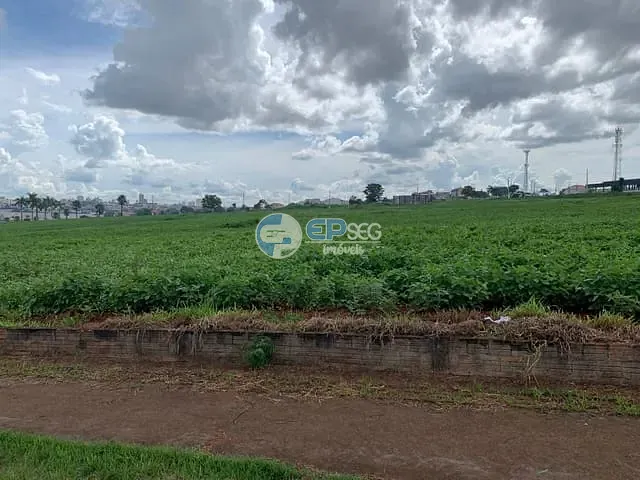 Terreno com 40000m², à venda, no bairro Ideal em Londrina