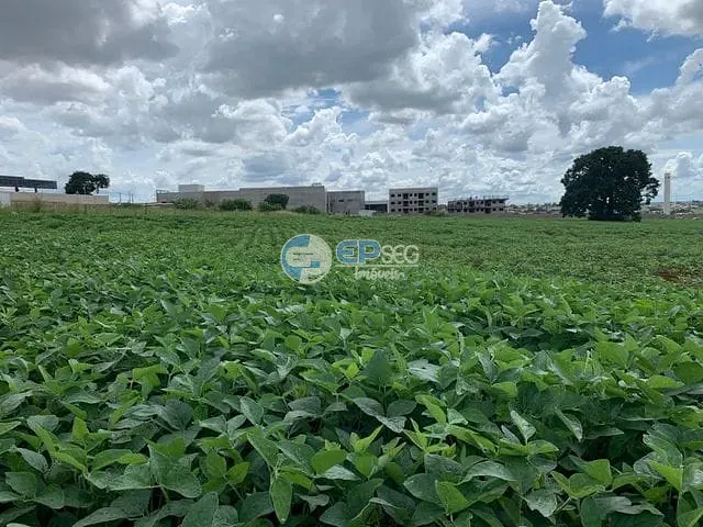 Terreno com 24189m², à venda, no bairro Ideal em Londrina