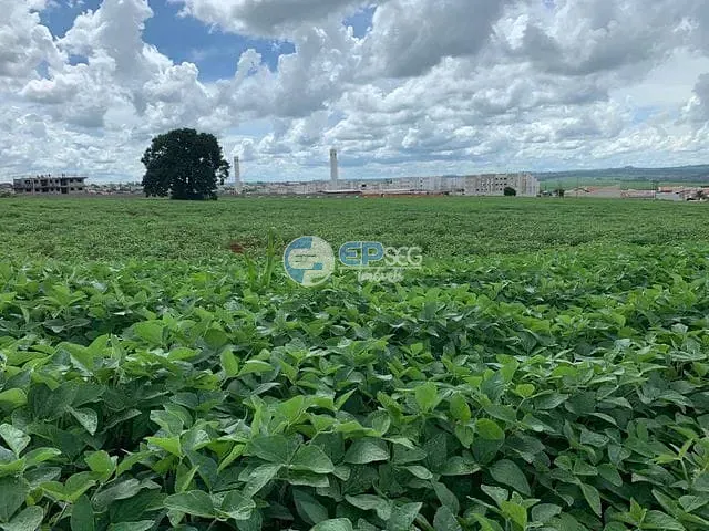 Terreno com 24189m², à venda, no bairro Ideal em Londrina
