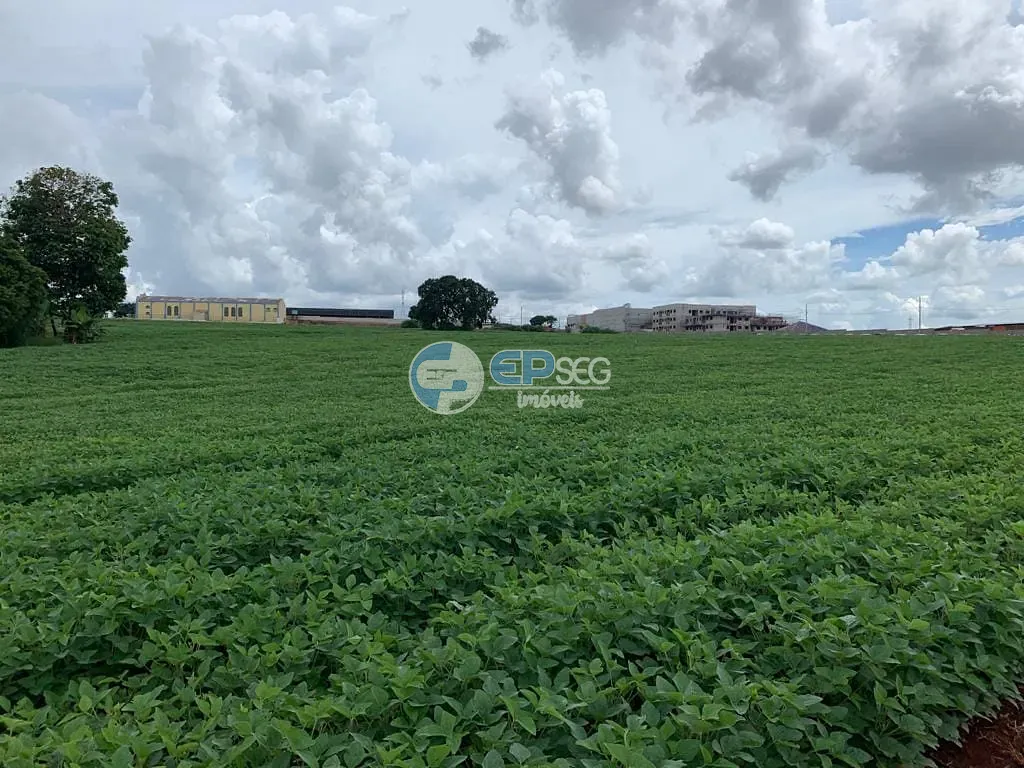 Terreno, 2 hectares - Foto 11
