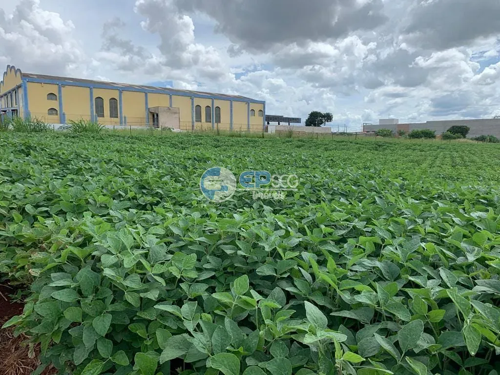 Terreno, 2 hectares - Foto 6