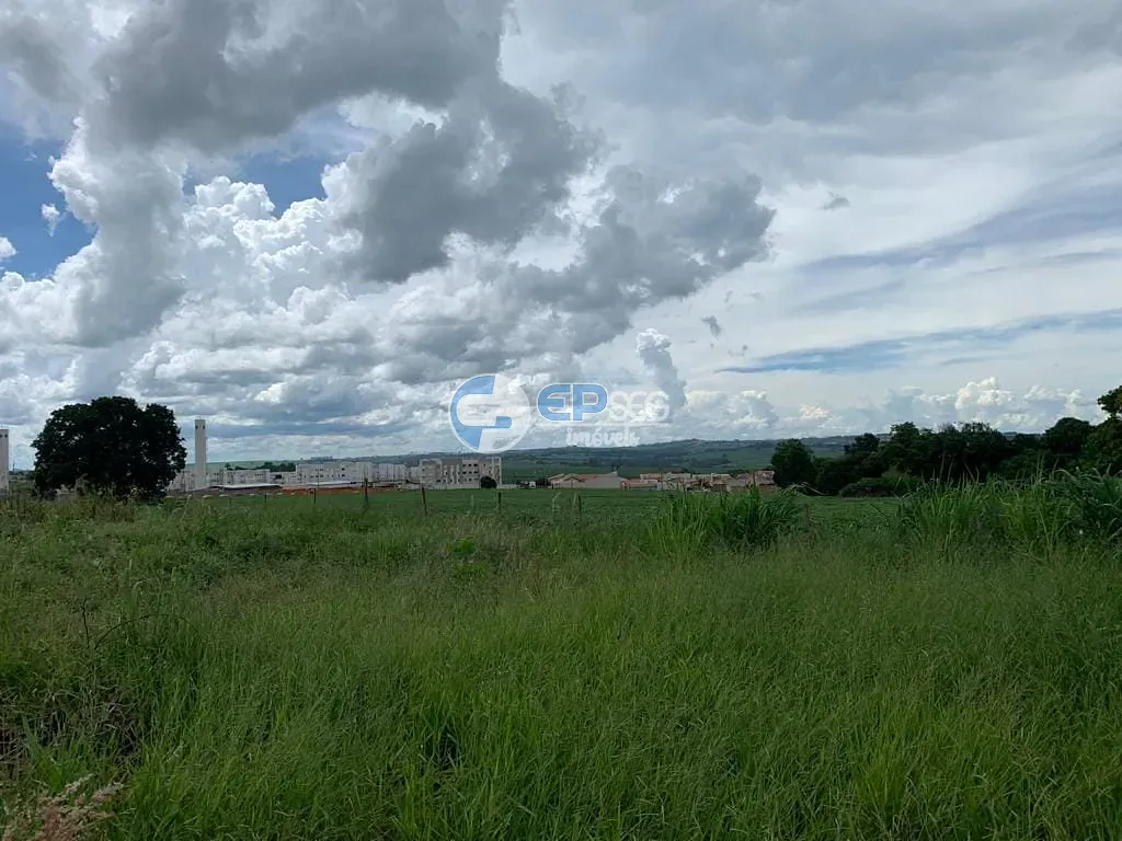 Terreno, 2 hectares - Foto 7