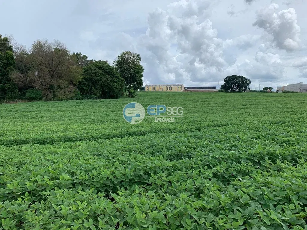 Terreno, 2 hectares - Foto 10