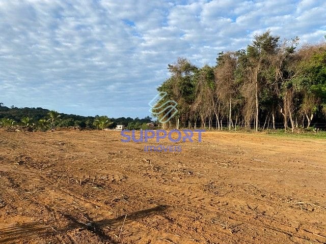 Terreno, 3 hectares - Foto 4