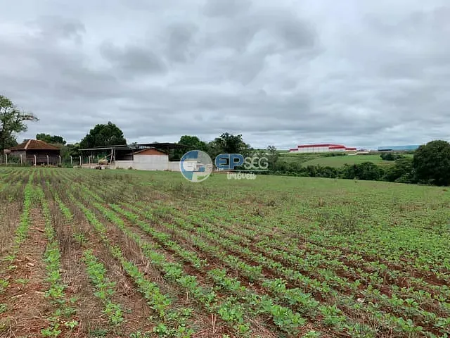 Terreno com 24596m², à venda, no bairro Ideal em Londrina