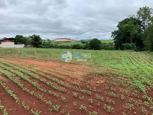 Terreno com 24596m², à venda, no bairro Ideal em Londrina