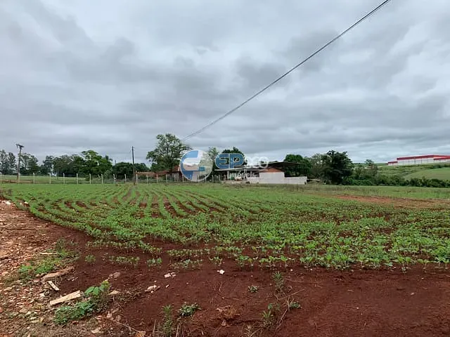Terreno com 24596m², à venda, no bairro Ideal em Londrina