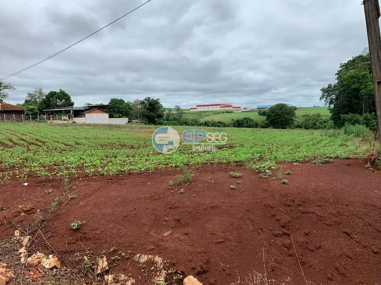 Terreno, 2 hectares - Foto 4
