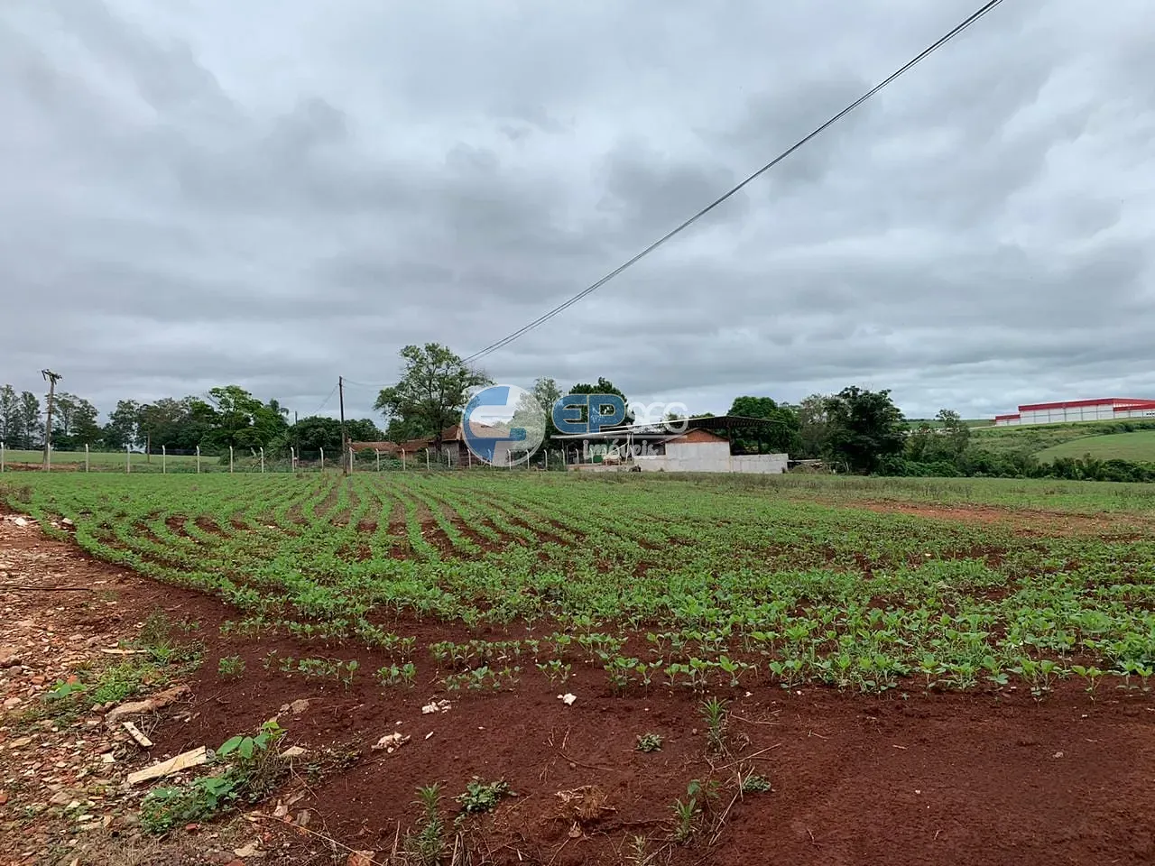 Terreno, 2 hectares - Foto 3