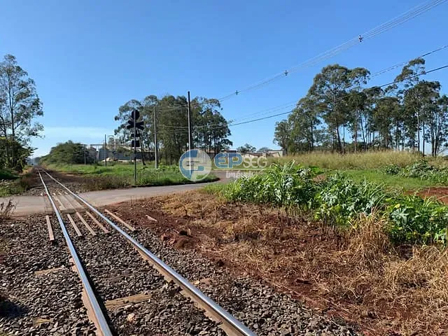 Terreno com 91322m², à venda, no bairro Ceboleiros em Rolândia