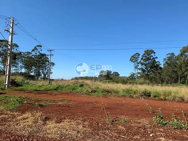 Terreno com 91322m², à venda, no bairro Ceboleiros em Rolândia