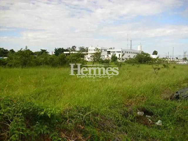 Terreno com 20000m², à venda, no bairro Cascata em Paulínia