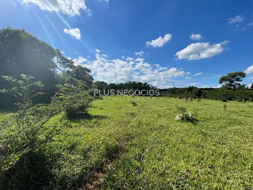 Terreno, 1 hectares - Foto 6