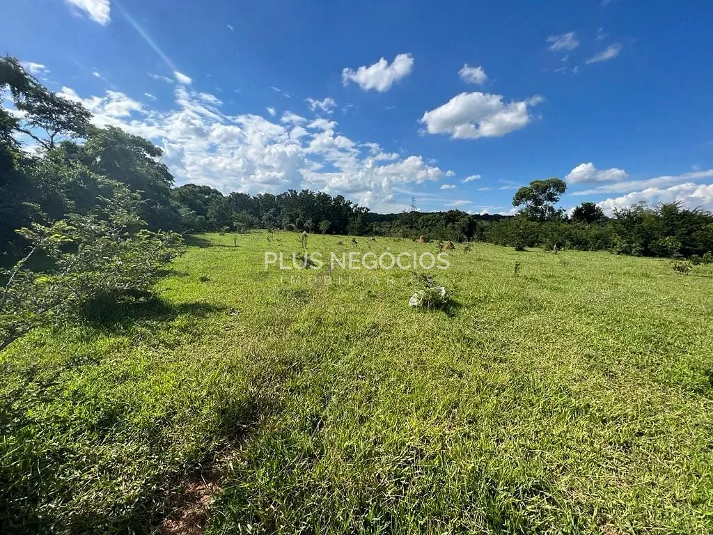 Terreno, 2 hectares - Foto 7