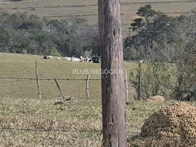 Terreno com 122000m², à venda, no bairro Centro em Araçoiaba da Serra