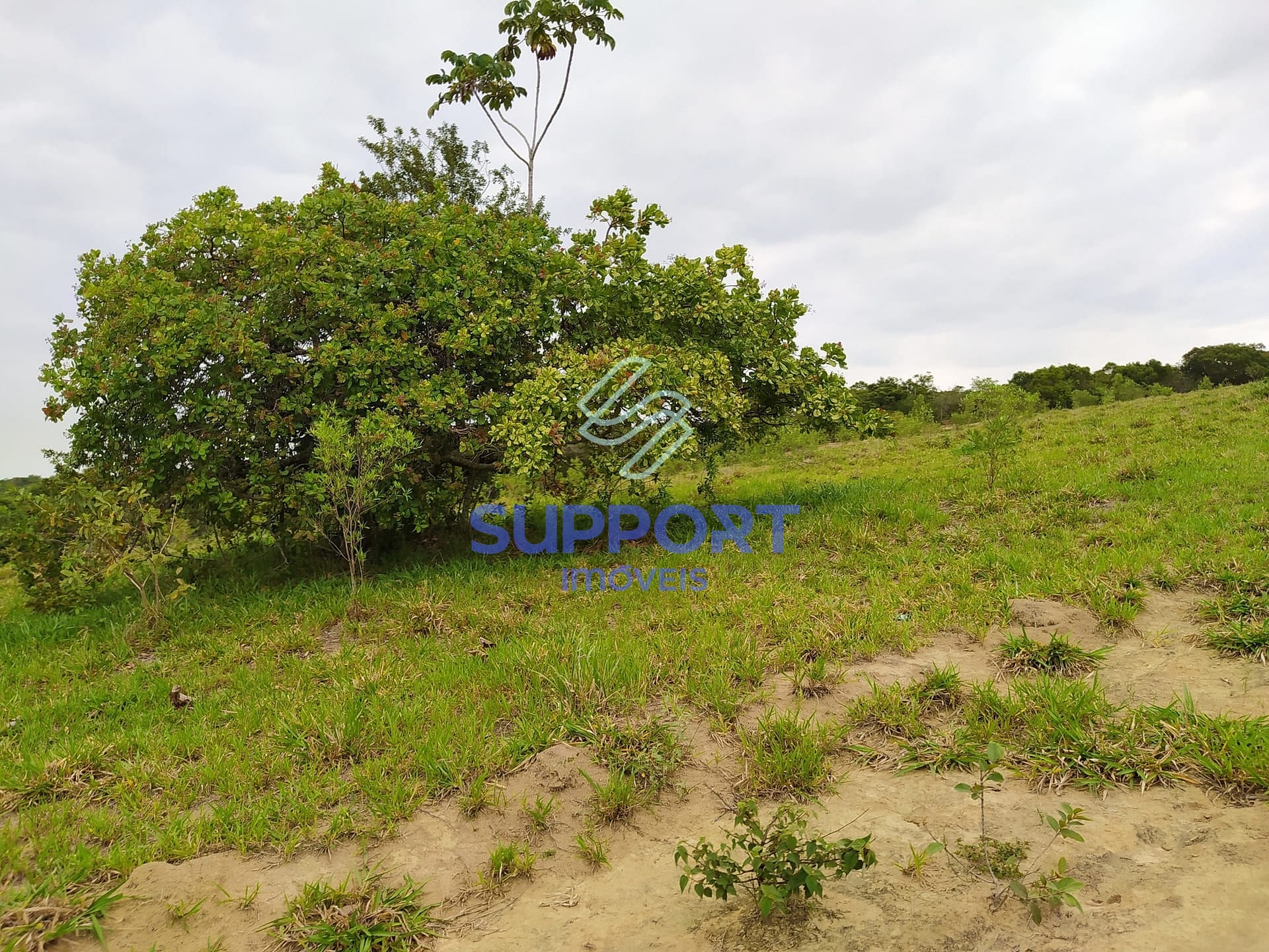 Terreno, 48 m² - Foto 16