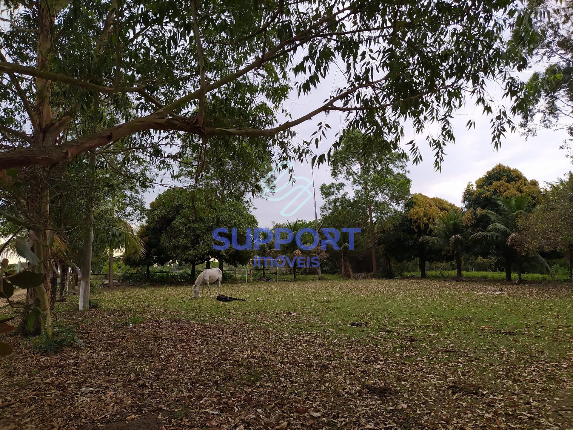 Terreno, 48 m² - Foto 34