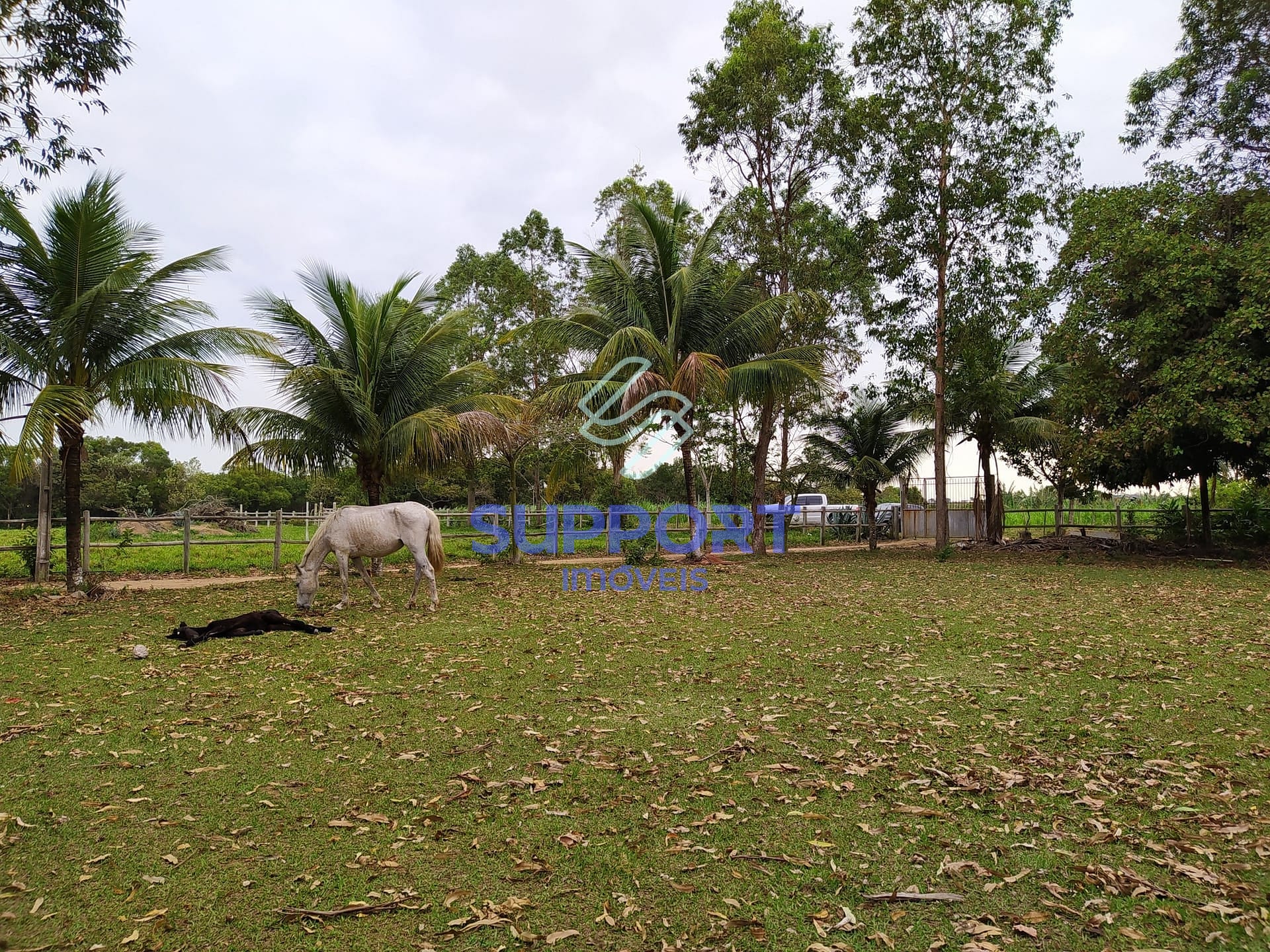 Terreno, 48 m² - Foto 36