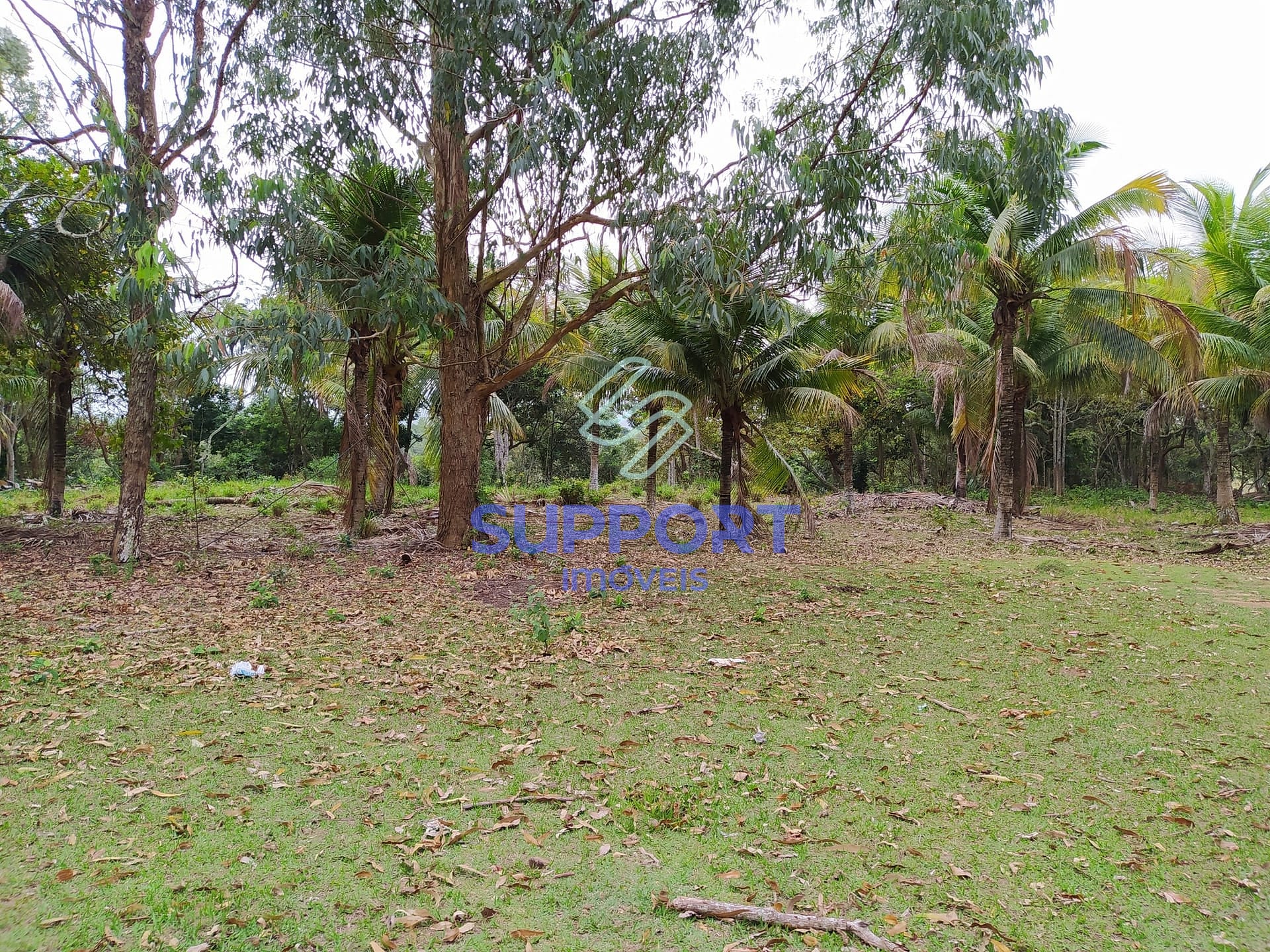 Terreno, 48 m² - Foto 39