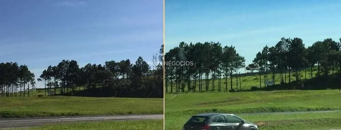 Terreno, 1 hectares - Foto 1