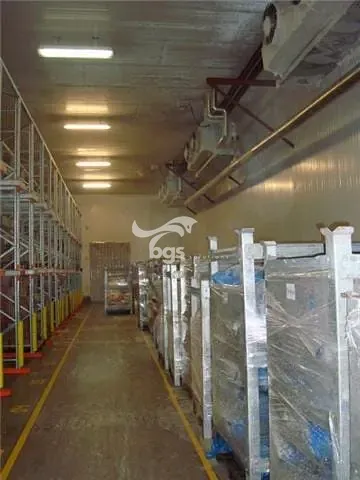 Depósito-Galpão, 17000 m² - Foto 26