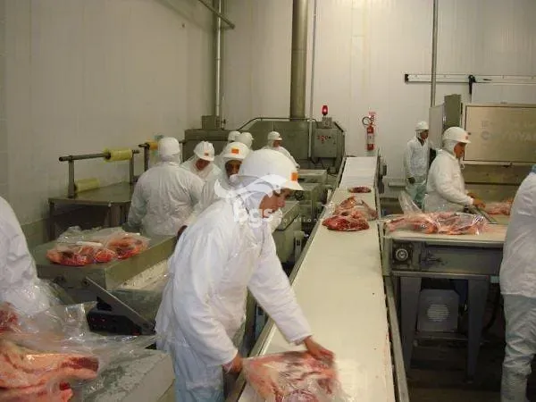 Depósito-Galpão, 17000 m² - Foto 19