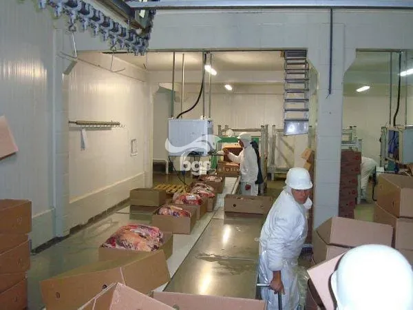 Depósito-Galpão, 17000 m² - Foto 22