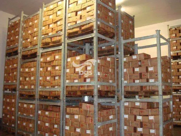 Depósito-Galpão, 17000 m² - Foto 27