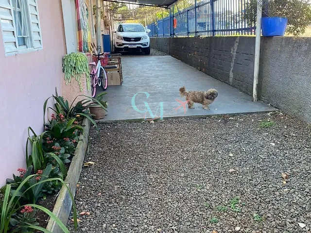 Galpão / Barracão com 806m², à venda, no bairro Veneza em Xanxerê