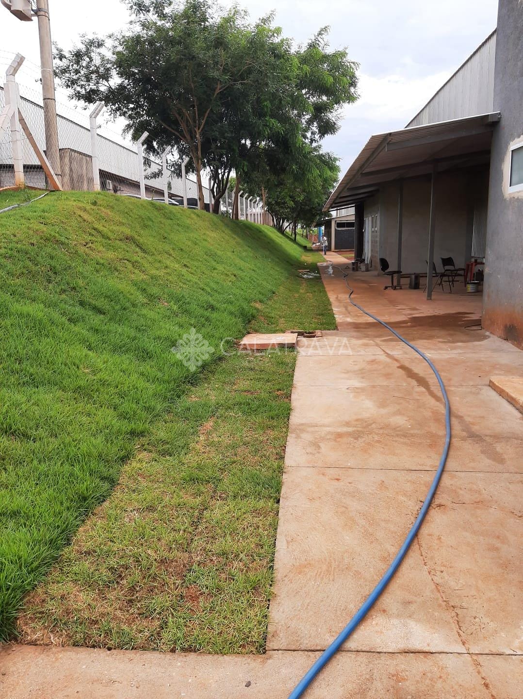 Depósito-Galpão, 2500 m² - Foto 9