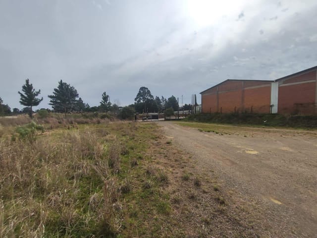 Galpão / Barracão com 3000m², à venda, no bairro Industrial em Nova Prata