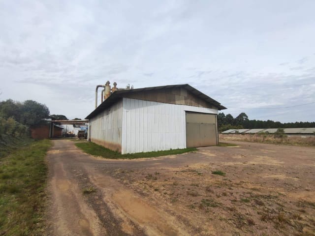 Galpão / Barracão com 3000m², à venda, no bairro Industrial em Nova Prata