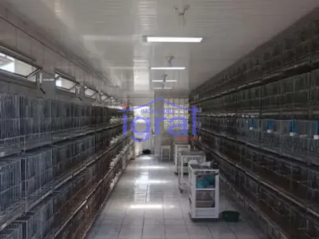 Galpão / Barracão com 1017m², à venda, no bairro Jabaquara em São Paulo