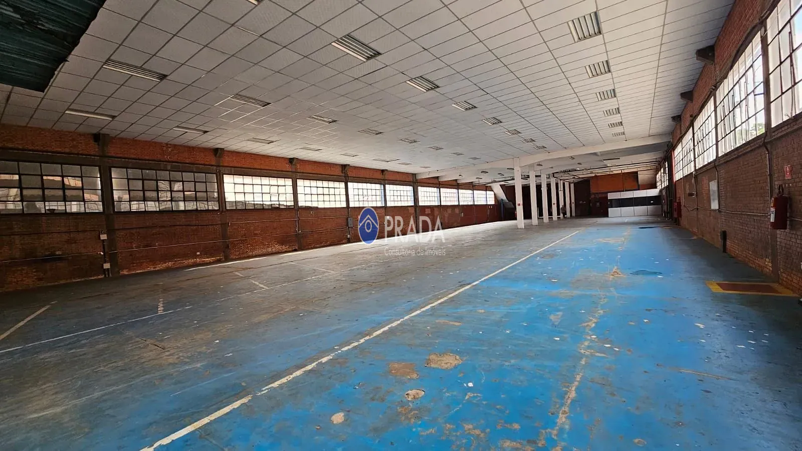 Depósito-Galpão, 2830 m² - Foto 5