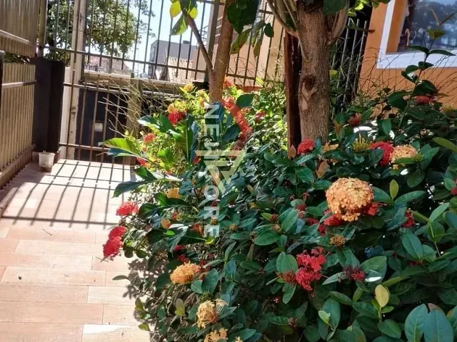 Galpão / Barracão com 250m², à venda, no bairro Parque Industrial Lagoinha em Ribeirão Preto