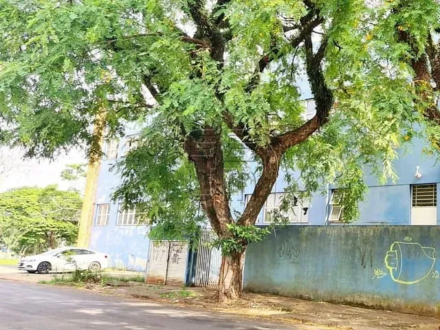 Galpão / Barracão com 3975m², para alugar, no bairro Campo Belo em Londrina