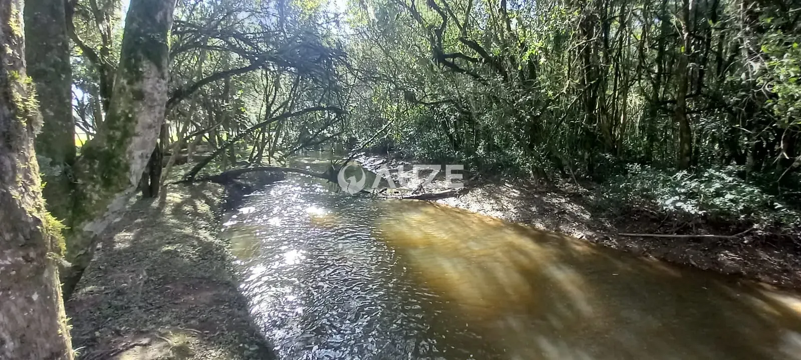 Terreno, 9 hectares - Foto 8