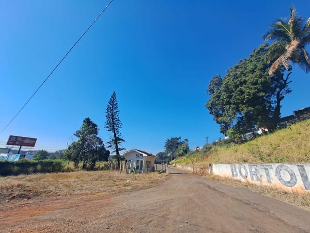 Foto do Galpão / Barracão - Galpão / Barracão para locação, Gleba Patrimônio Maringá, Maringá, PR | Teto imoveis MGA