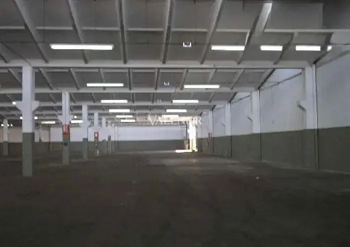 Depósito-Galpão, 1000 m² - Foto 3