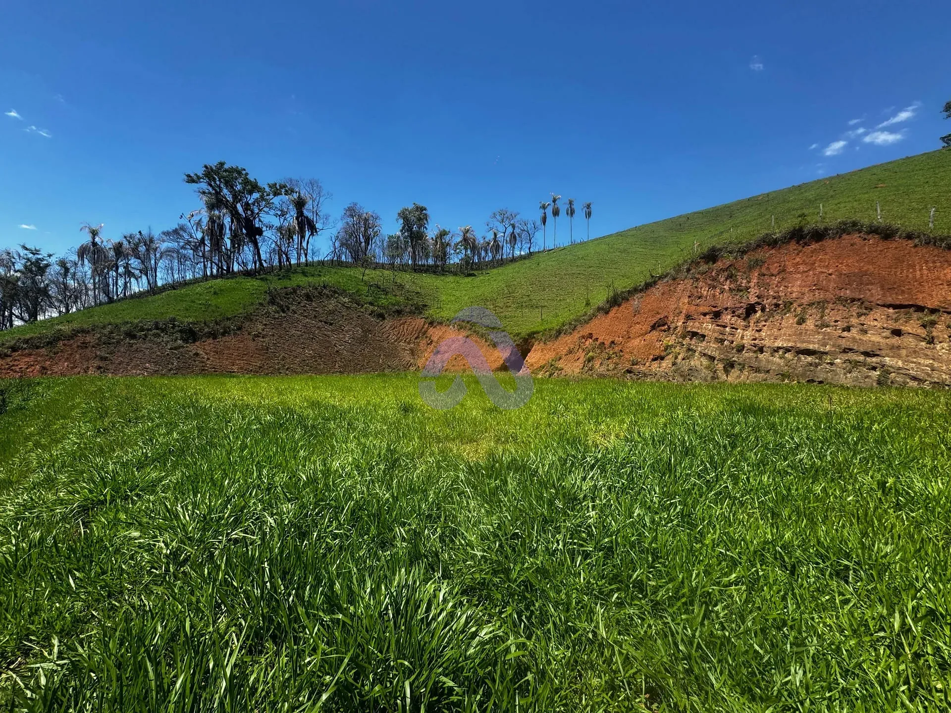 Depósito-Galpão, 1000 m² - Foto 20