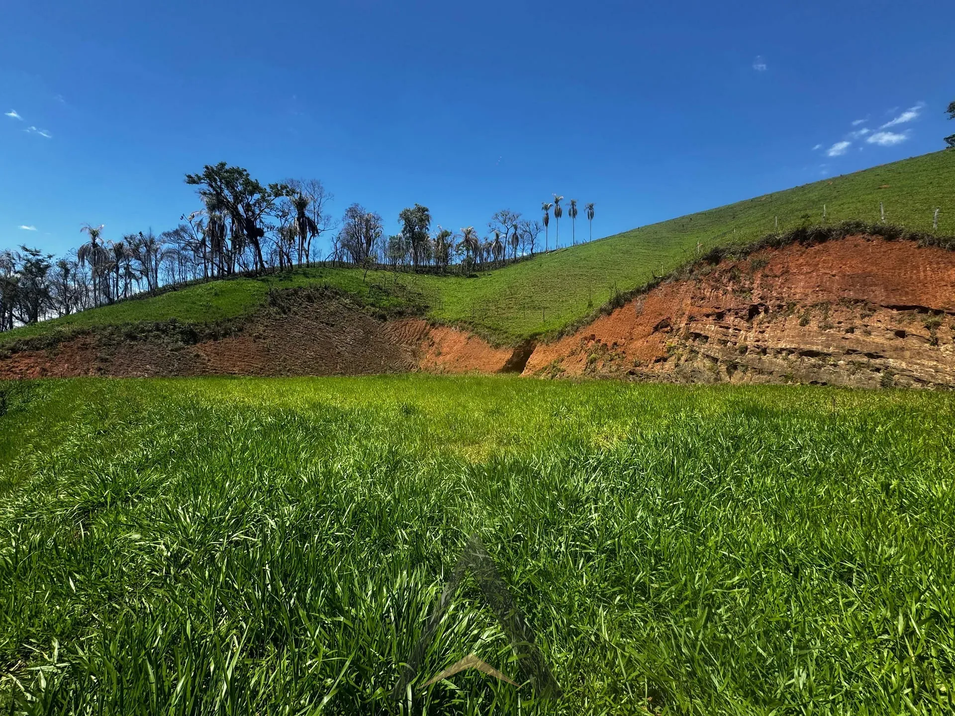 Depósito-Galpão, 1000 m² - Foto 20
