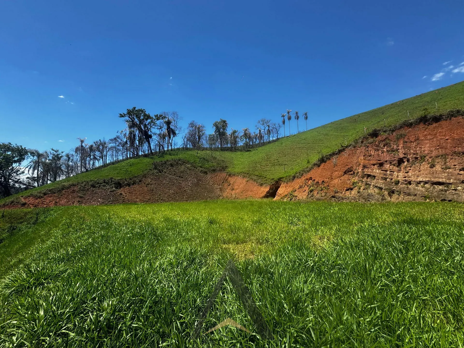 Depósito-Galpão, 1000 m² - Foto 22
