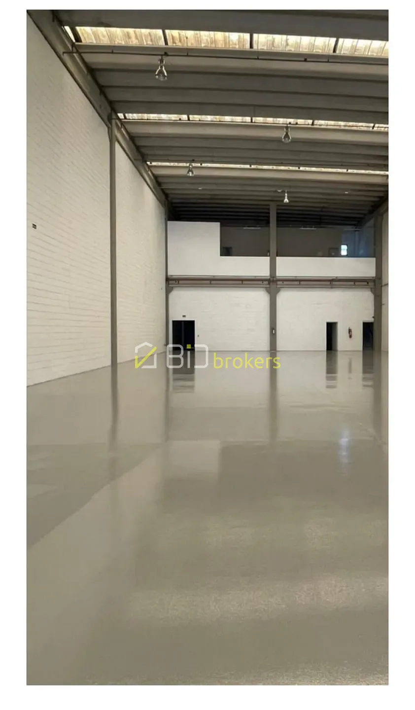Depósito-Galpão, 1500 m² - Foto 4